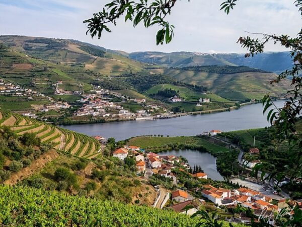 Douro most scenic walking