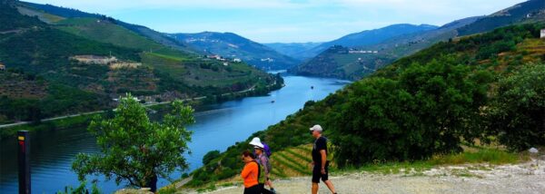 The dramatic landscape of the Douro Valley walking